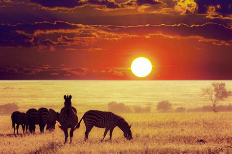 BILDER: Die 10 schönsten Nationalparks von Kenia | Franks Travelbox