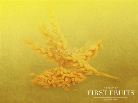 Feast Of First Fruits Ministry Powerpoint Sharefaith Media