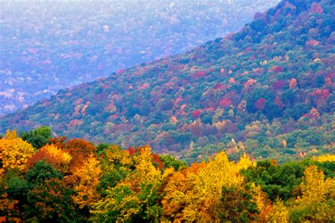 Arkansas Fall Foliage Updates Now Available Ay Mag Ay