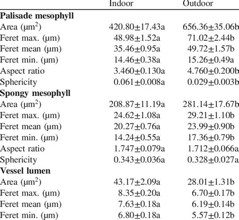 The rigid exterior around the cells is necessary to allow the plants to grow upright. Cell size and shape of mesophyll cells and vessel lumen in ...