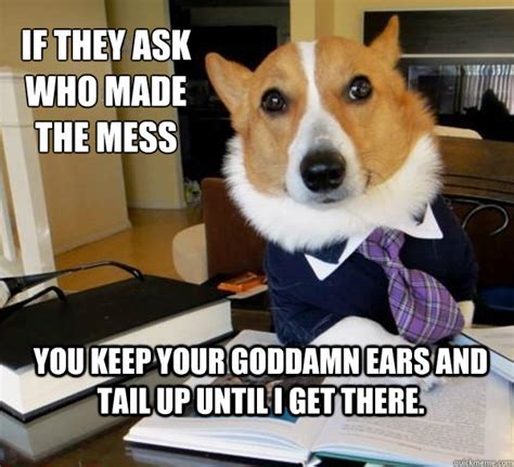 If They Ask Who Made The Mess You Keep Your Goddamn Ears And Tail Up