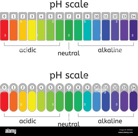 Ph Scale Litmus Paper Color Chart Stock Vector Illustration Of Base Images