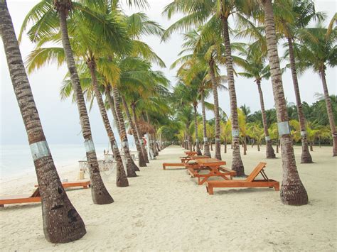 Bohol Beach Club Panglao Bohol Bohol Travel Tour Packages 2024 2025