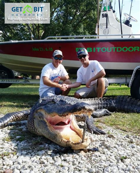 Gator Hunts Gallery Trophy Florida Gator Hunting By Get Bit Outdoors