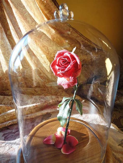 Check spelling or type a new query. Hands Full of Crafts Beauty and the Beast Enchanted Rose ...
