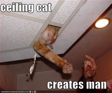 Ceiling Cat Creates Man Lolcat Meme Lolcats I Heart Pinterest