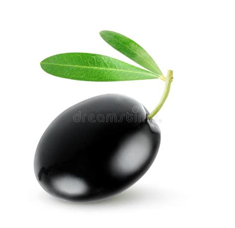 Black Olive Stock Image Image Of Closeup Organic Background 42424399