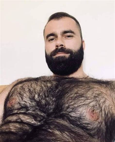 Photo Offensively Hairy Muscly Men Page 36 Lpsg