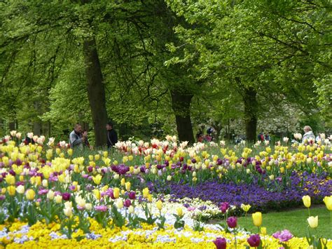 Versailles Keukenhof Taman Surga Bunga