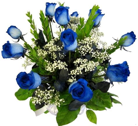 Ecuadorian Long Stem Navy Blue Roses Vase In San Diego Ca House Of