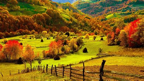 Fall Foliage Desktop Wallpapers 70 Background Pictures