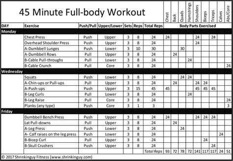 45 Minute Full Body Workout Shrinkinguy Fitness