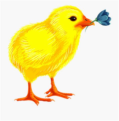 Cartoon Baby Chick Chick Clipart Cartoon Collection