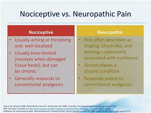 Ppt Pathophysiology Powerpoint Presentation Free Download Id 9205453