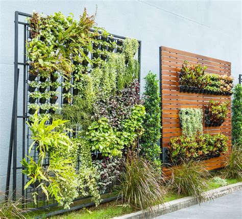 Vertical Gardens The Living Walls Of Your Home