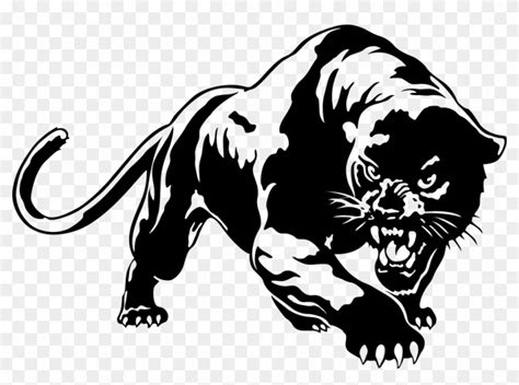 Panther Png Picture Black Panther Animal Drawing Transparent Png