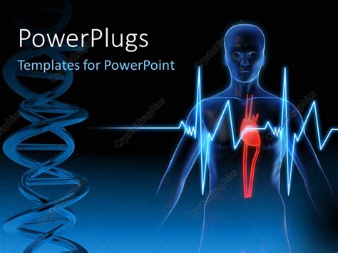 Powerpoint Template Anatomy Depiction Of A Human Heart With Ecg Rays And Medical Symbol Over