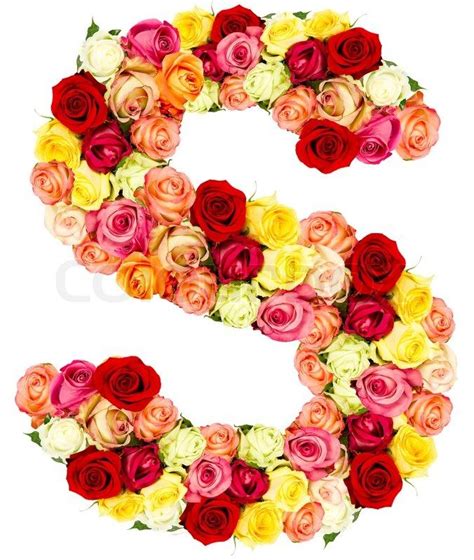 Buy Stock Photo S Roses Flower Alphabet Colourbox On Colourbox In