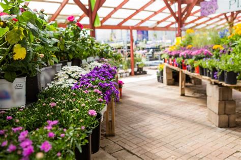 Nurseries And Garden Centers In Oklahoma City Ideal Homes