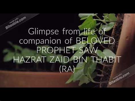 Story Of Hazrat Zaid Bin Sabit R A Life Of Companions Series YouTube