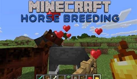 what do horses in minecraft eat