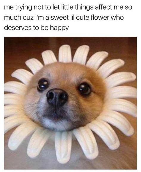 This Just Made My Day Omg Rwholesomememes Wholesome Memes Know