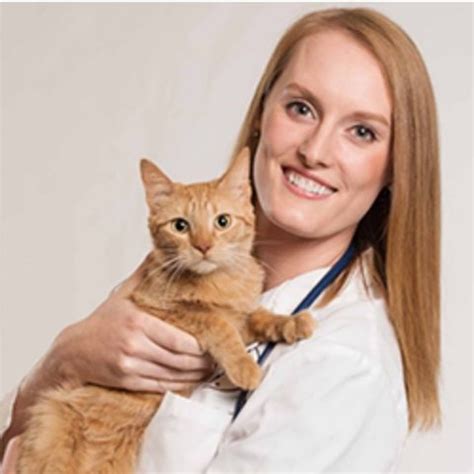  at elk creek animal hospital, we treat you and your pets like our family! Sioux City, IA 51106 Veterinarians | Elk Creek Animal Hospital