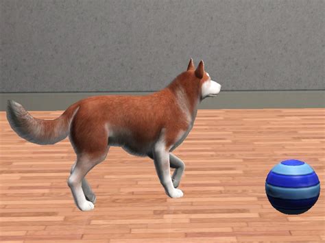 The Sims Resource Suki Siberian Husky Auburn