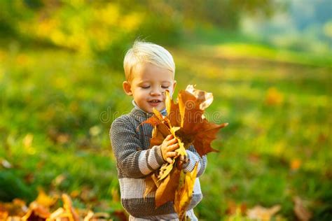 Autumn Kids Portrait In Fall Yellow Leaves Little Child In Yellow Park