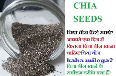 Chia Seeds In Hindi