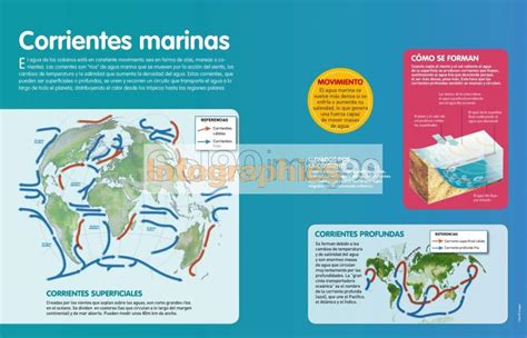 Infografía Las Corrientes Marinas Infographics90
