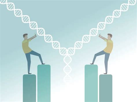 Genetic Education — Do Identical Twins Have The Same Dna