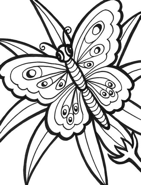 It can be easily seen that there are different types of butterflies with pictures and names that can be found in nature. Butterfly Coloring Pages