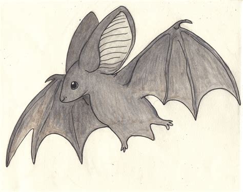 A Cute Bat By Linmirianjoyrex On Deviantart