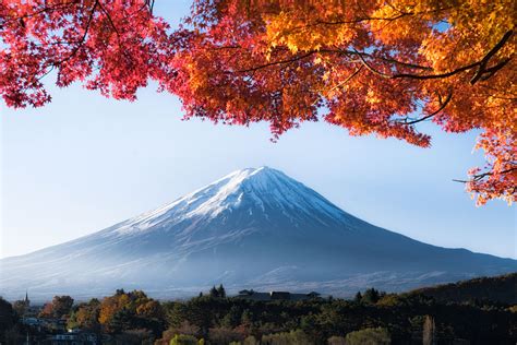 Autumn Red Maple Leaves Mount Fuji Chromecast Image