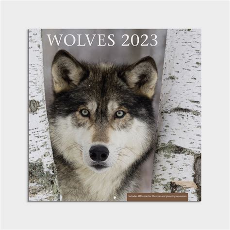 2023 12 Month Calendar Wolves 12x12 Hanging Wall Calendar By