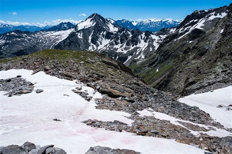 Grund für den sogenannten blutschnee: Blutschnee am Fundusfeiler (Ötztaler) Foto & Bild ...