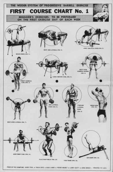 Old School Bodybuilding Charts Compiled By Veeraj Goyaram ~ Multiple Fitness