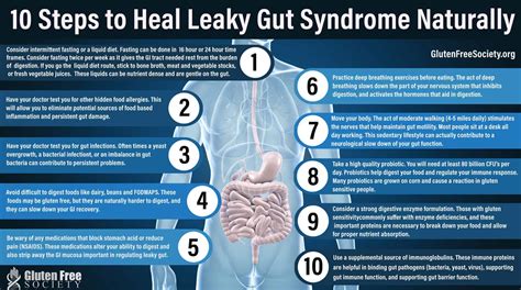 10 Steps To Heal Leaky Gut Syndrome Naturally Gluten Free Society