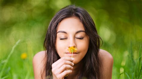 Hay fever (also known as seasonal allergic rhinitis) is caused by an allergy to pollen. What Triggers Your Hay Fever? - My Weekly