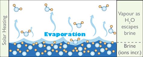 Evaporation synonyms, evaporation pronunciation, evaporation translation, english dictionary definition of evaporation. Physics of evaporation