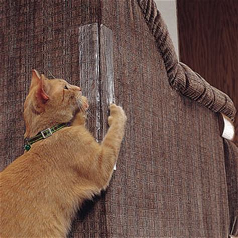 When cats were wild, keeping their claws sharp meant. Save Your Furniture in 8 Easy Steps - Catster