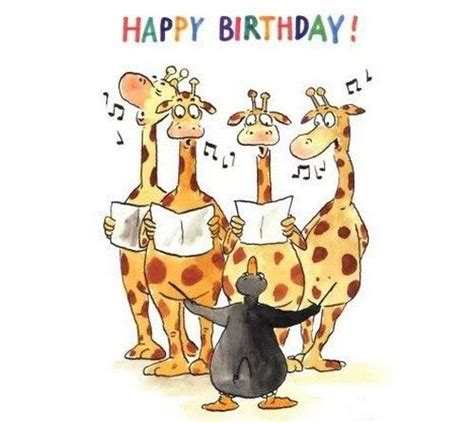 Giraffe Happy Birthday Happy Birthday Funny