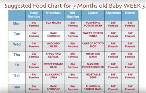 Food chart for 7 months baby. 7 Month Baby Food Chart/ Weekly Meal Plan for 7 Months ...