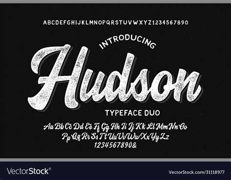Original Brush Script Font Retro Typeface Vector Image