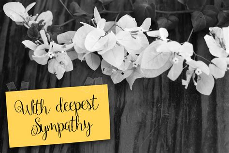 In truth, there is no perfect way to say you are sorry for their loss and nothing you can say or do will help heal their grief. Things To Say In A Sympathy Card - All You Need Infos