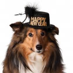 Happy New Year Dog Hat Black Baxterboo