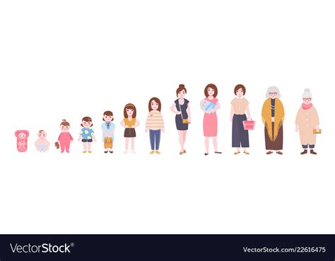 Life Cycle Of Woman Visualization Of Stages Vector Image