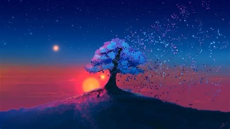 Mystic Tree Sunset Wallpapers Wallpapers Hd
