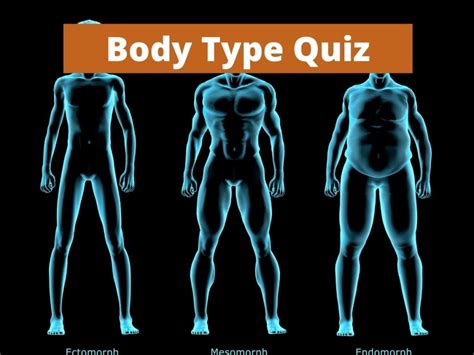 Body Type Quiz Test Your Knowledge On Bing Quiz